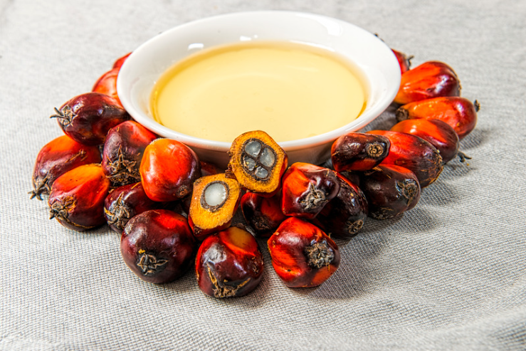 Palm Yağı: Gıda Sektöründeki Kullanım Alanları, Tercih Sebepleri ve Sağlık Üzerindeki Etkileri